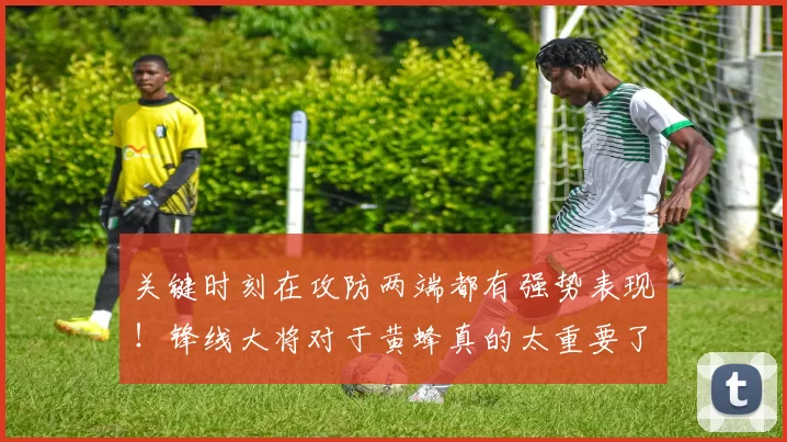 关键时刻在攻防两端都有强势表现！锋线大将对于黄蜂真的太重要了