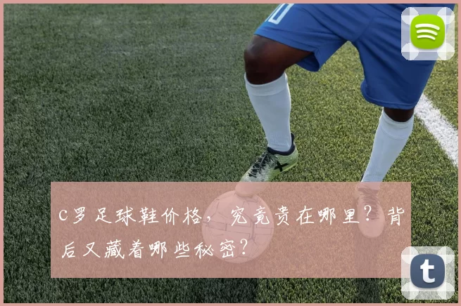 c罗足球鞋价格，究竟贵在哪里？背后又藏着哪些秘密？