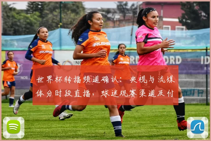 世界杯转播频道确认：央视与流媒体分时段直播，球迷观赛渠道及付费须知