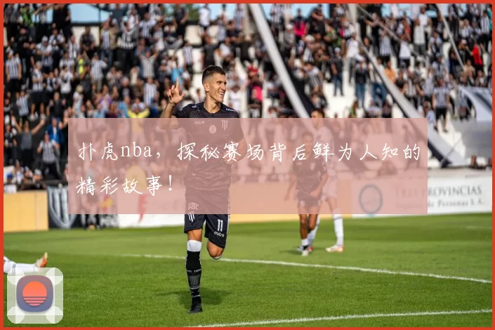 扑虎nba，探秘赛场背后鲜为人知的精彩故事！