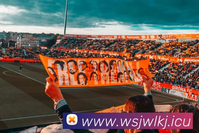 九游官方网页版 - 九游(中国)平台生态图