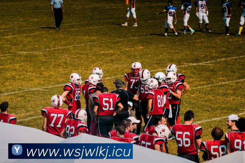 九游官方网页版 - 九游(中国)APP 封面图